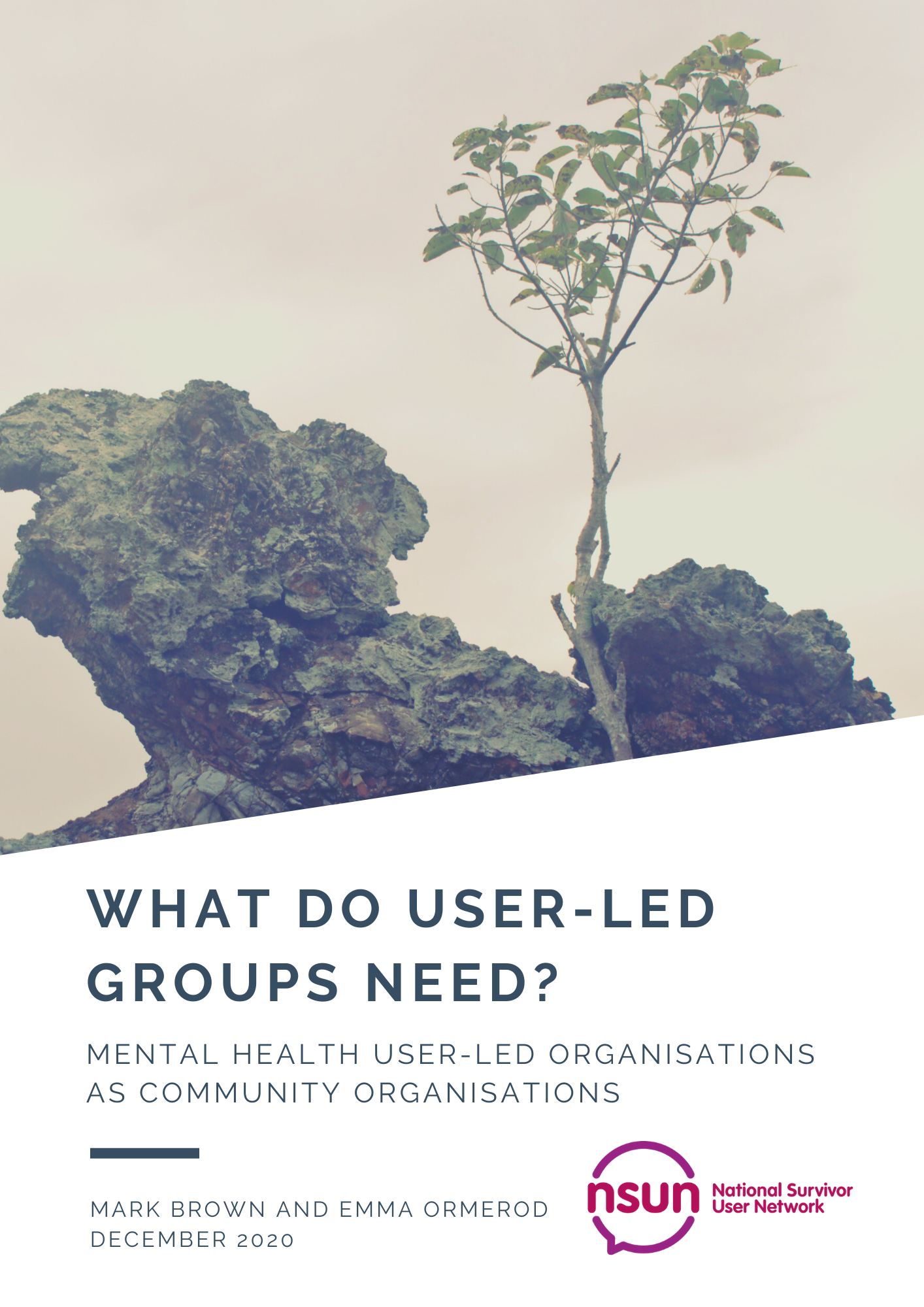 What Do User-Led Groups (2020) - NSUN website